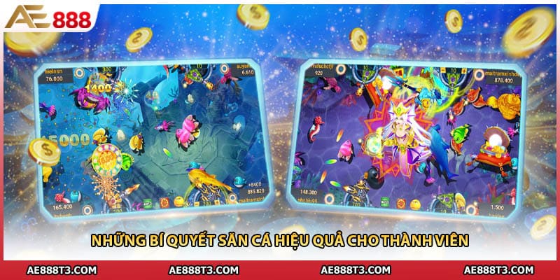 Những bí quyết săn cá hiệu quả cho thành viên